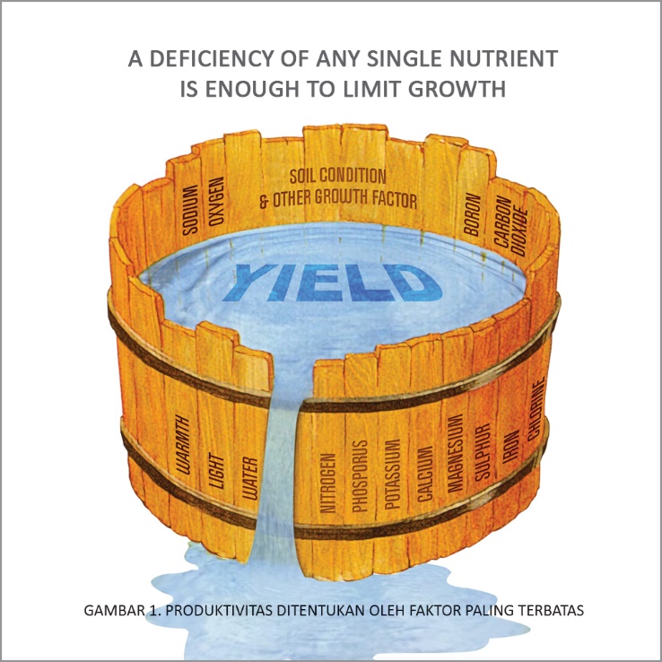 Review Peranan Sulfur Untuk Peningkatan Produktivitas