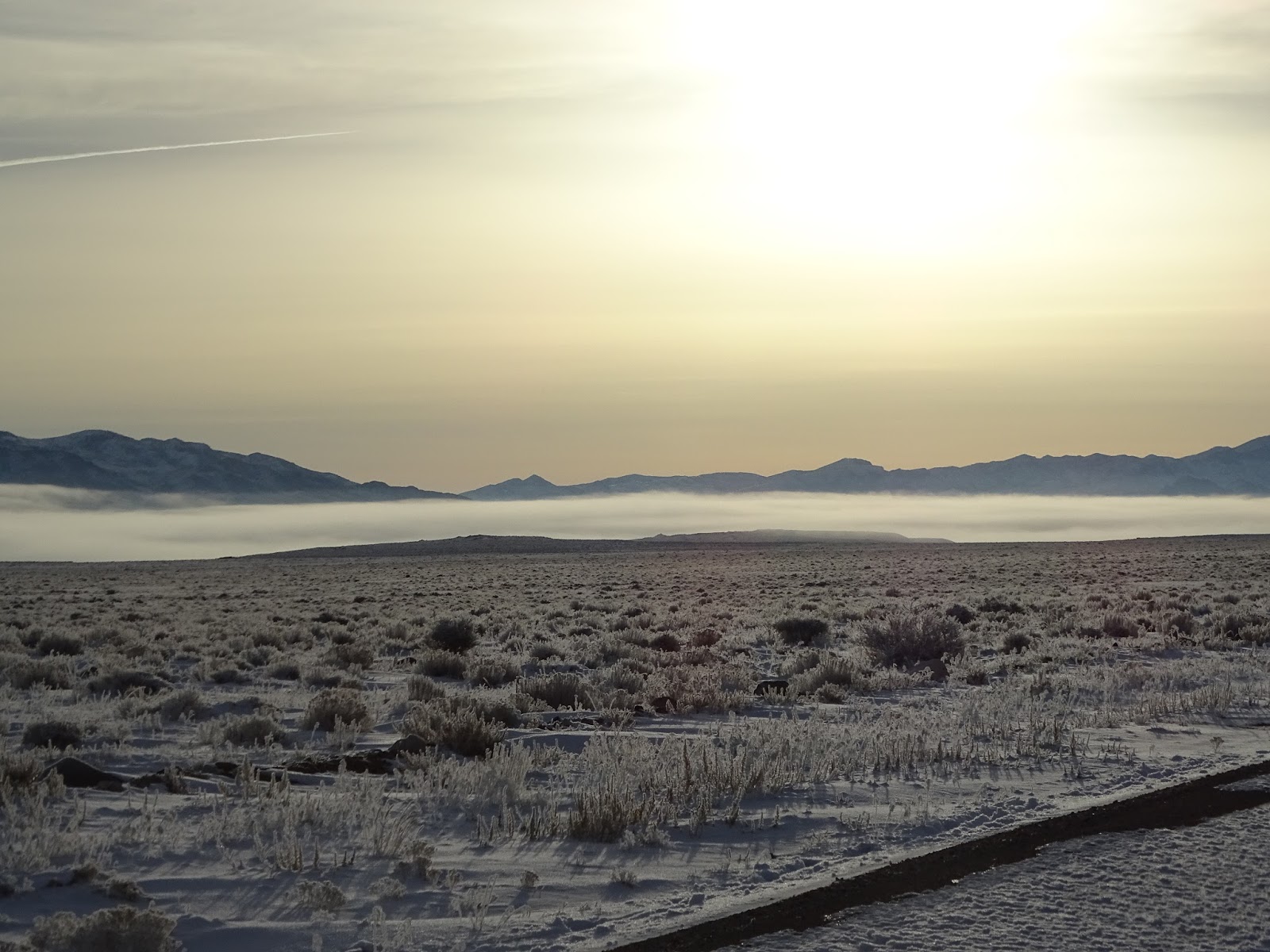 Birding Karval Colorado