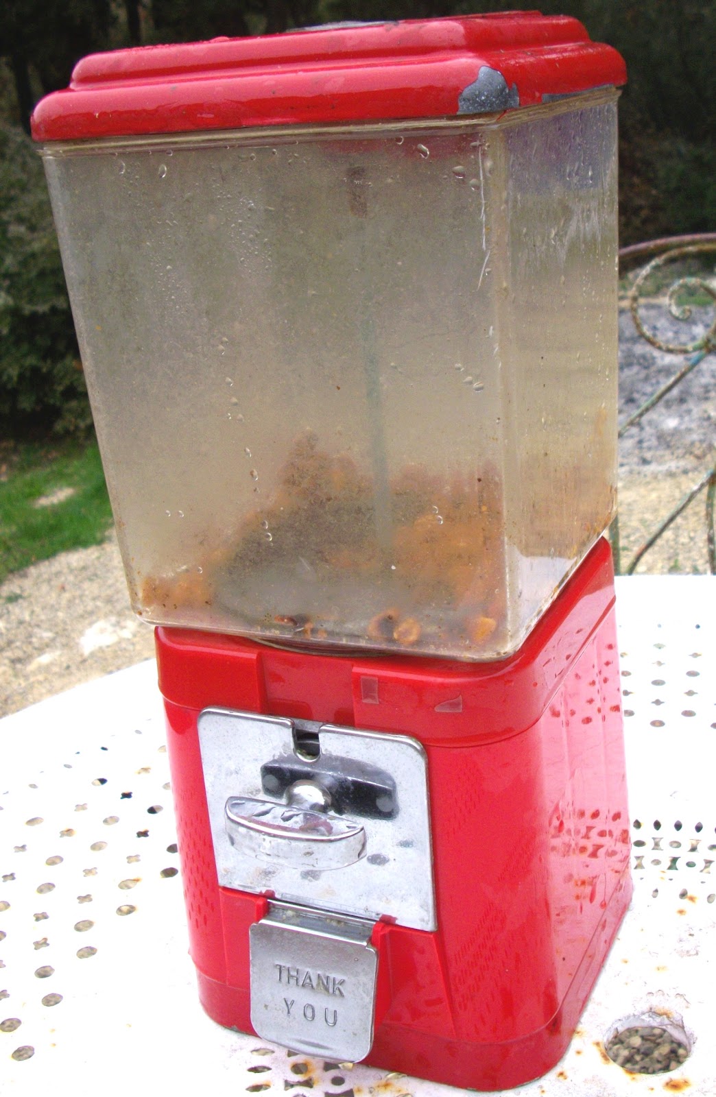 Distributeur De Cacahute De Bar