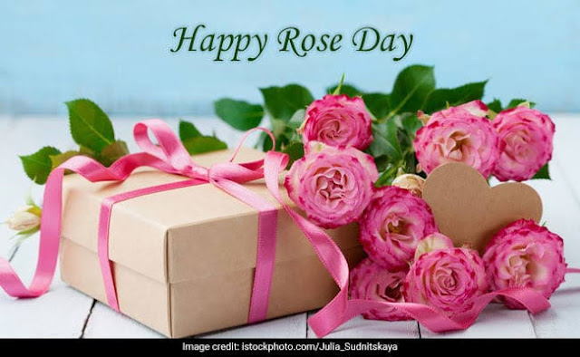 rose day greetings cards wishes images rose day greetings cards wishes images