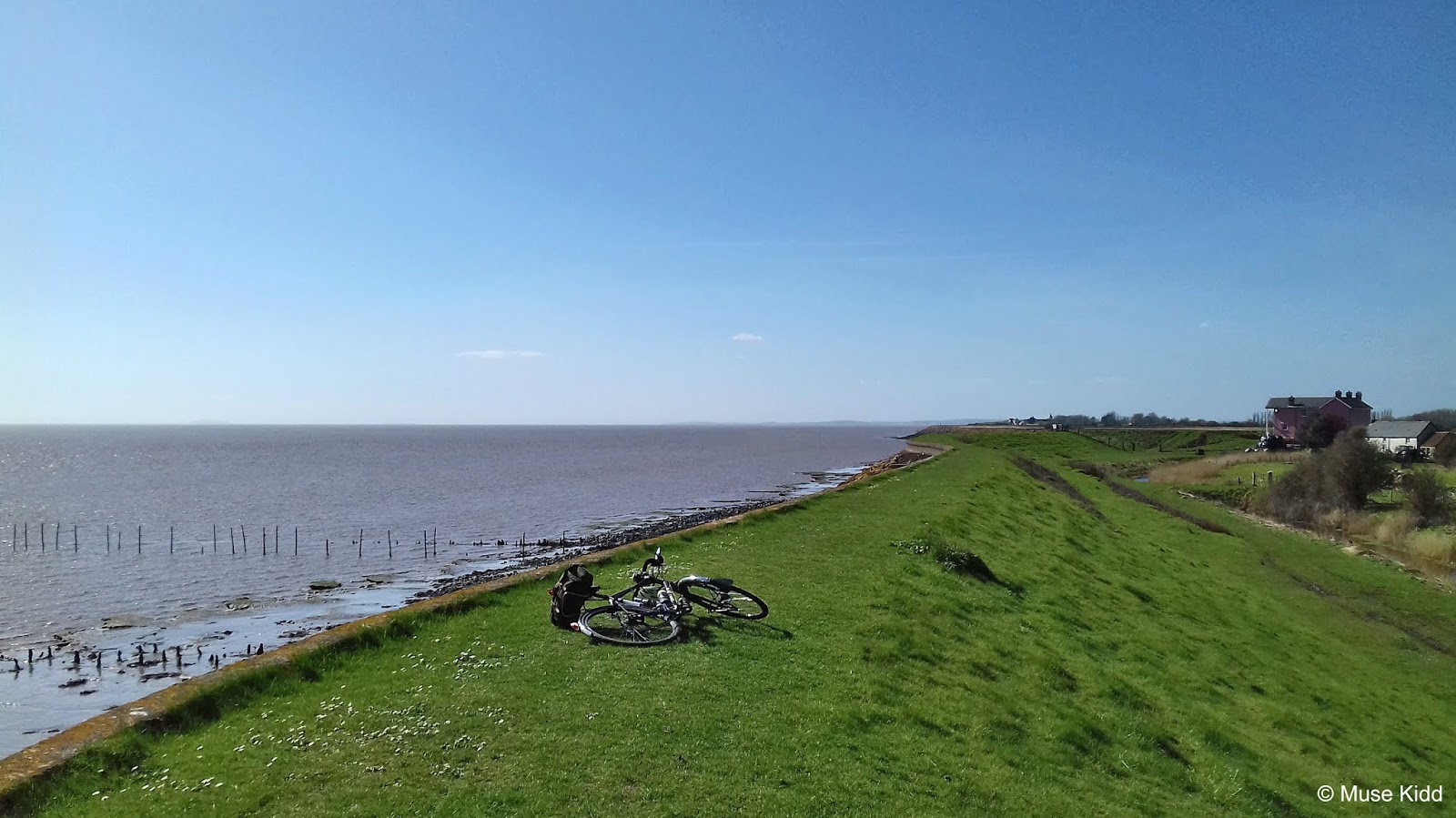 beach cruiser front forks