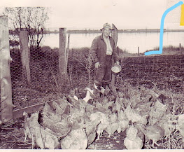 Grandpa with Swamp road marked directly behind his chicken pen