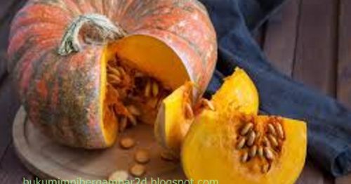 Angka Mimpi Labu 2D 3D 4D Bergambar dalam Buku Mimpi Buku Mimpi Bergambar