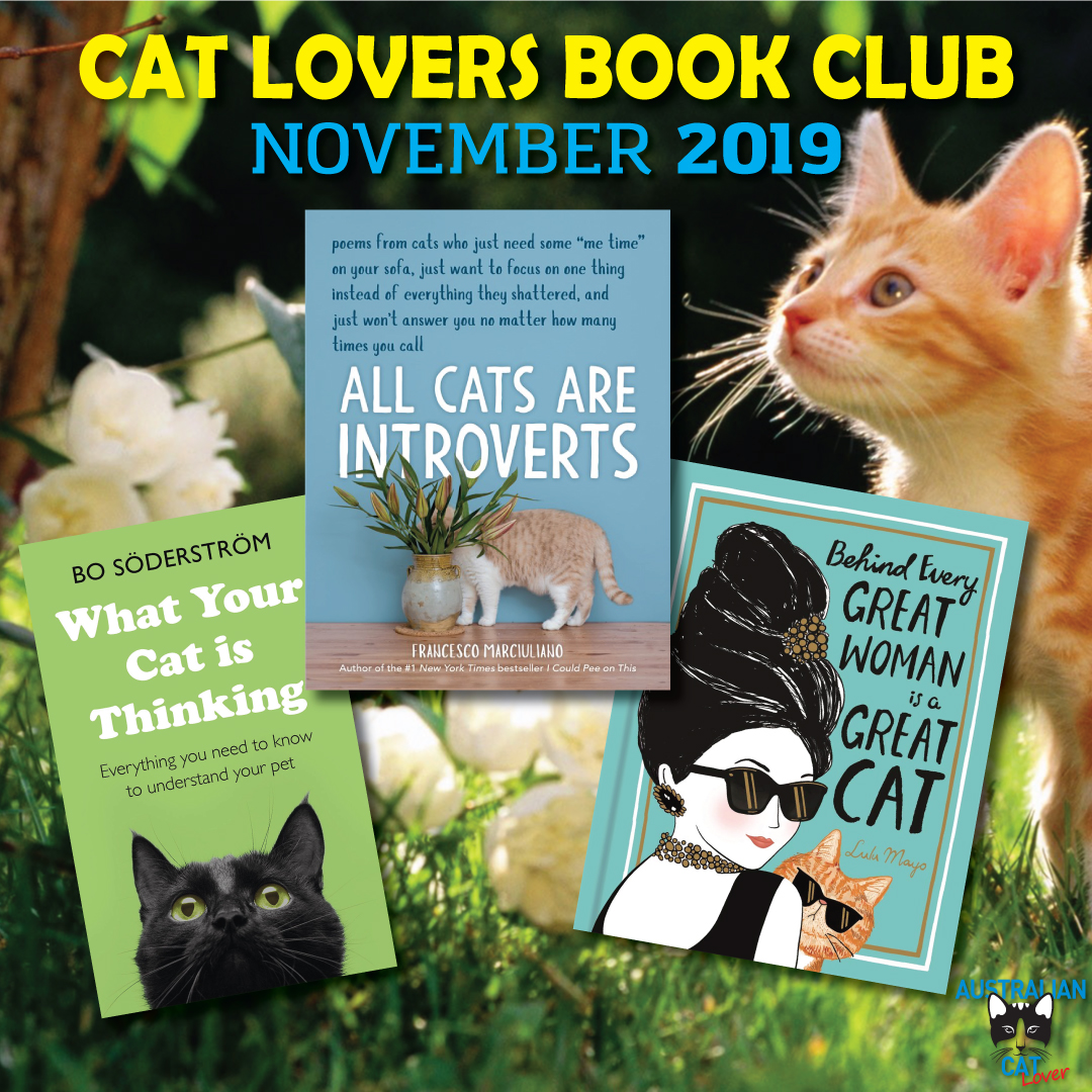 Cat Lovers Book Club November 2019 Australian Cat Lover