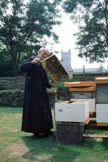 Η μέλισσα Buckfast αποκαλύπτεται!!!