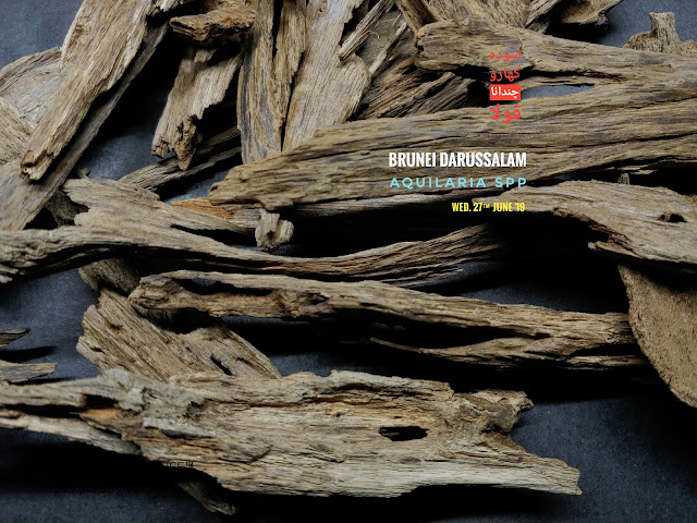 Medium quality of soil grade of Agarwood from Brunei. Perfect for burn as incense. Gentle heating is recommend as to get clear woody aroma.