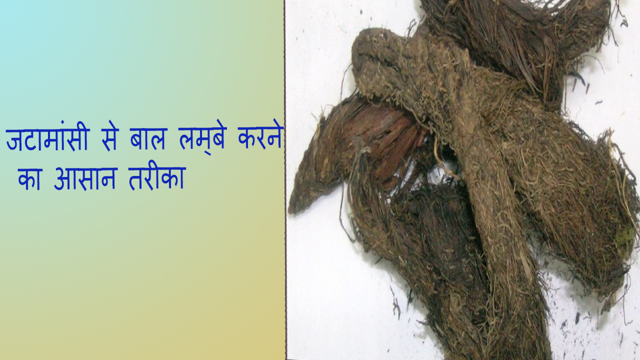 Natural Beauty Tips How To Grow Hair Faster And Longer In Hindi Tips