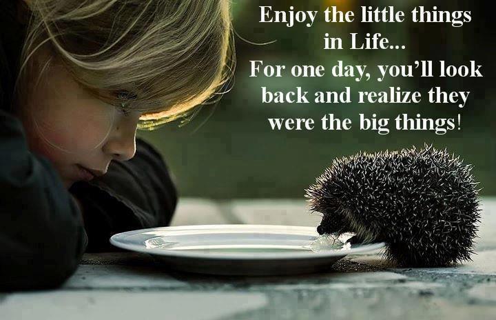 Hedgie's Nature Journal : Enjoy the little things in Life...