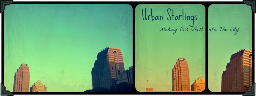Urban Starlings