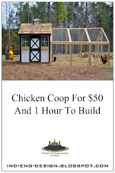 chicken coop hour build predators chickens provide safe keep them daily happy