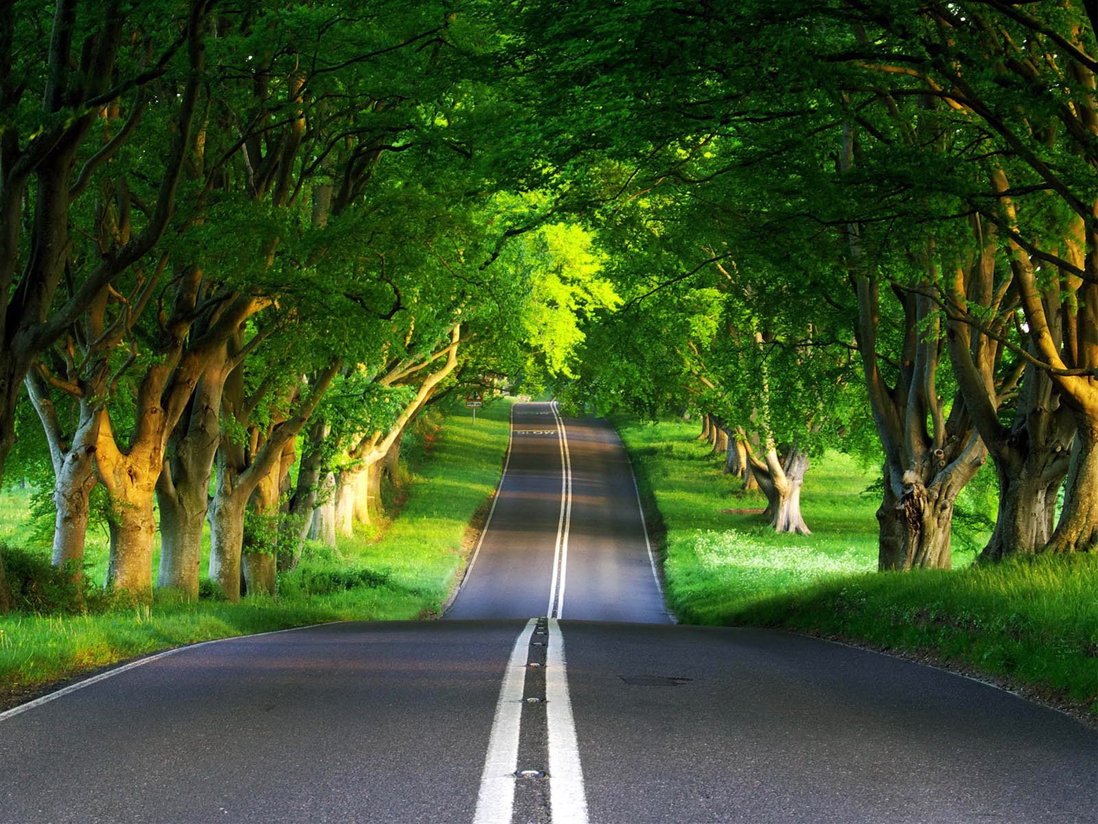 3D Wallpaper | 3D Wallpaper | Nature Wallpaper | Free Download Wallpaper