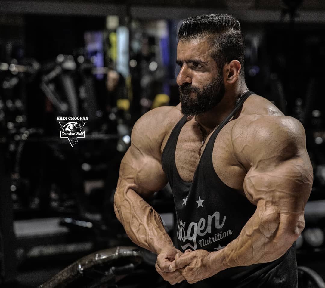 Hadi Choopan muscle