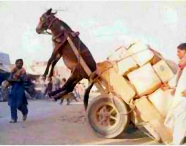 Freiheit Oder Determinismus