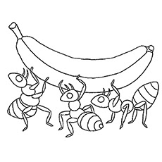 Banana coloring page 10
