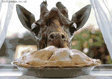 funny-giraffe-eating-pie-window-animated