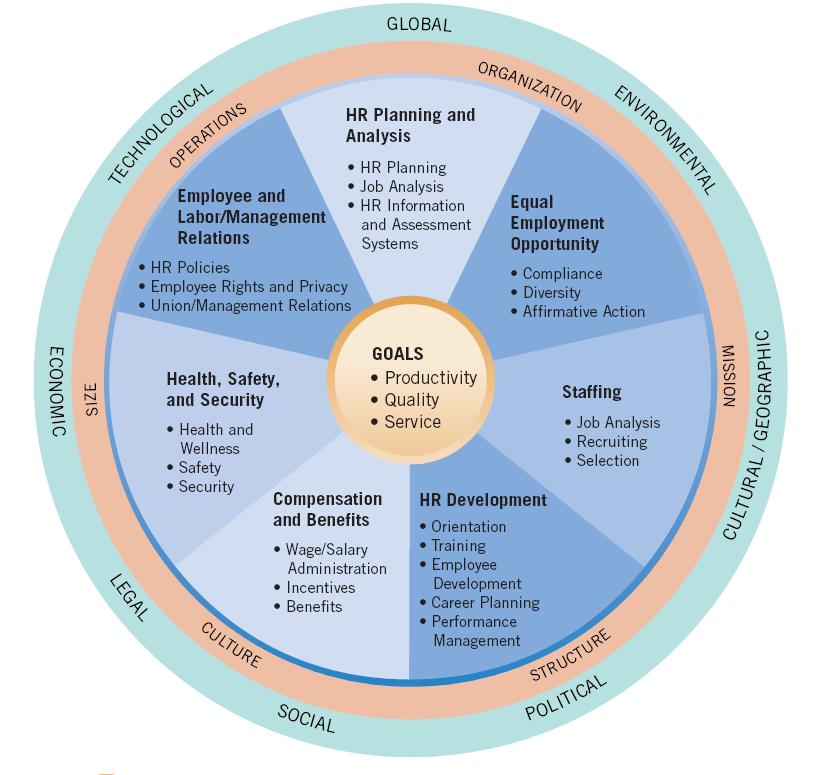 junior-hr-s-guide-hrm-activities-within-an-organization
