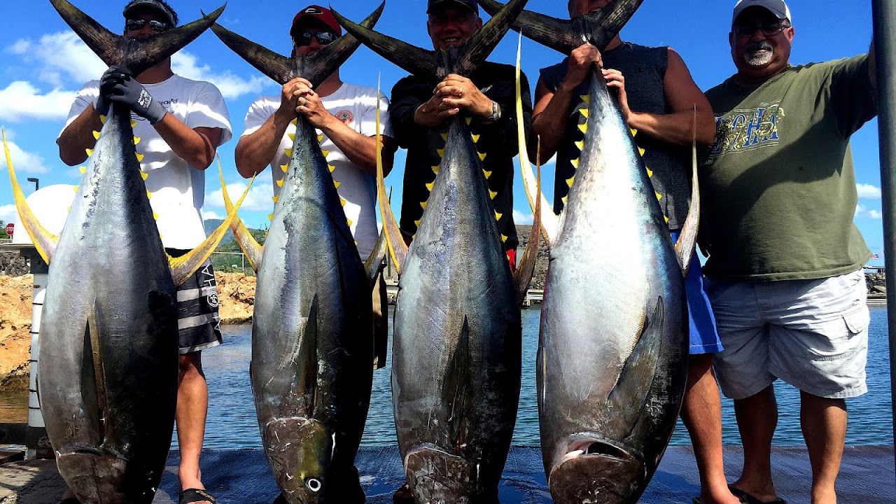 Sport Fishing Oahu - Fish Choices