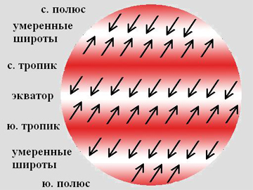 В умеренных широтах господствует. Господствующие ветры. Океанический климат. Большая часть расположена в умеренных широтах. Северо восточный пассат.