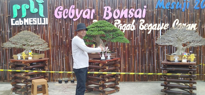 Meriahkan HUT Ke-13 Mesuji, PPBI Gelar Pameran Bonsai Tingkat Nasional
