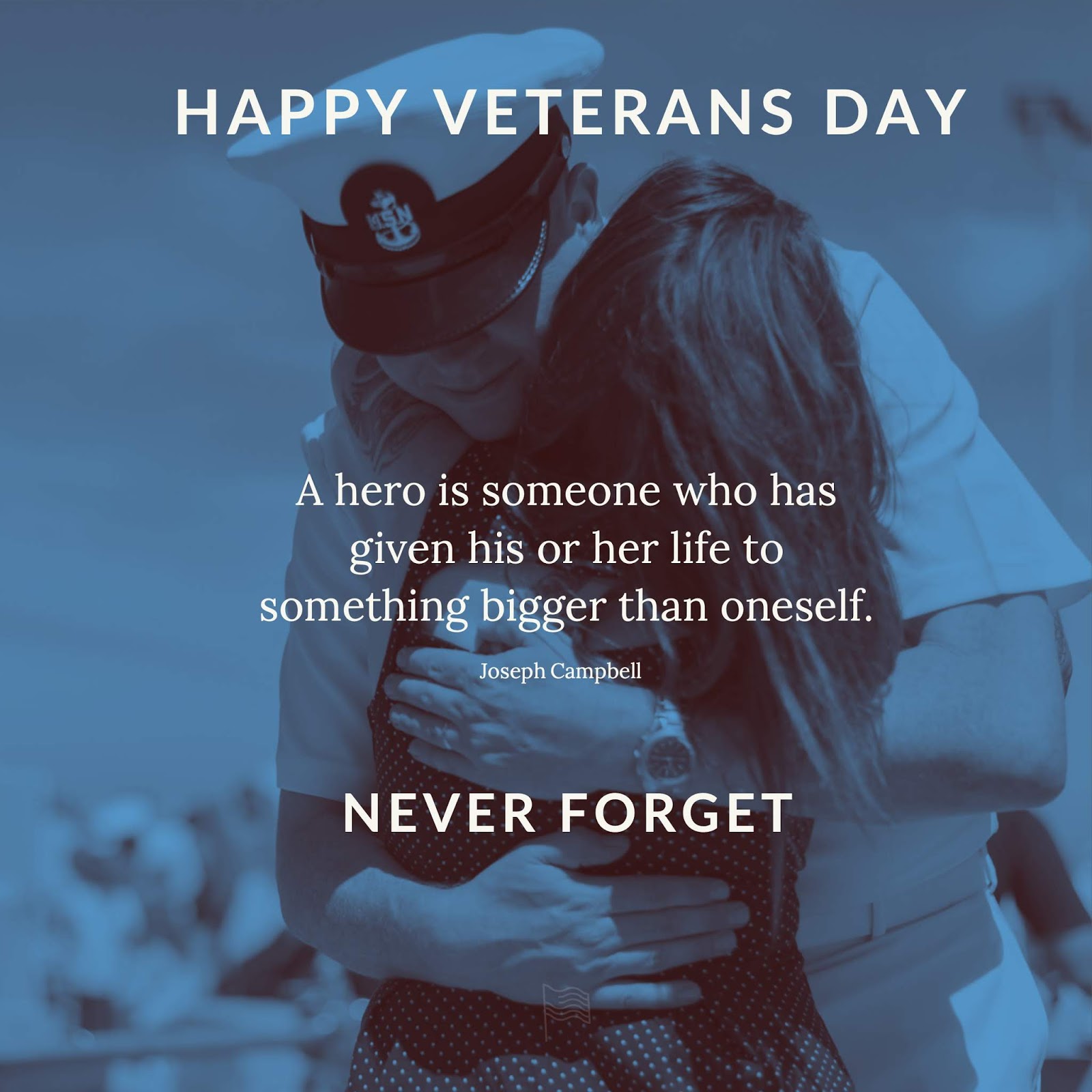 Veterans day ecard funny