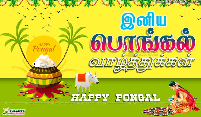 tamil pongal festival wishes quotes hd wallpapers-Pongal tamil greetings with hd wallpapers