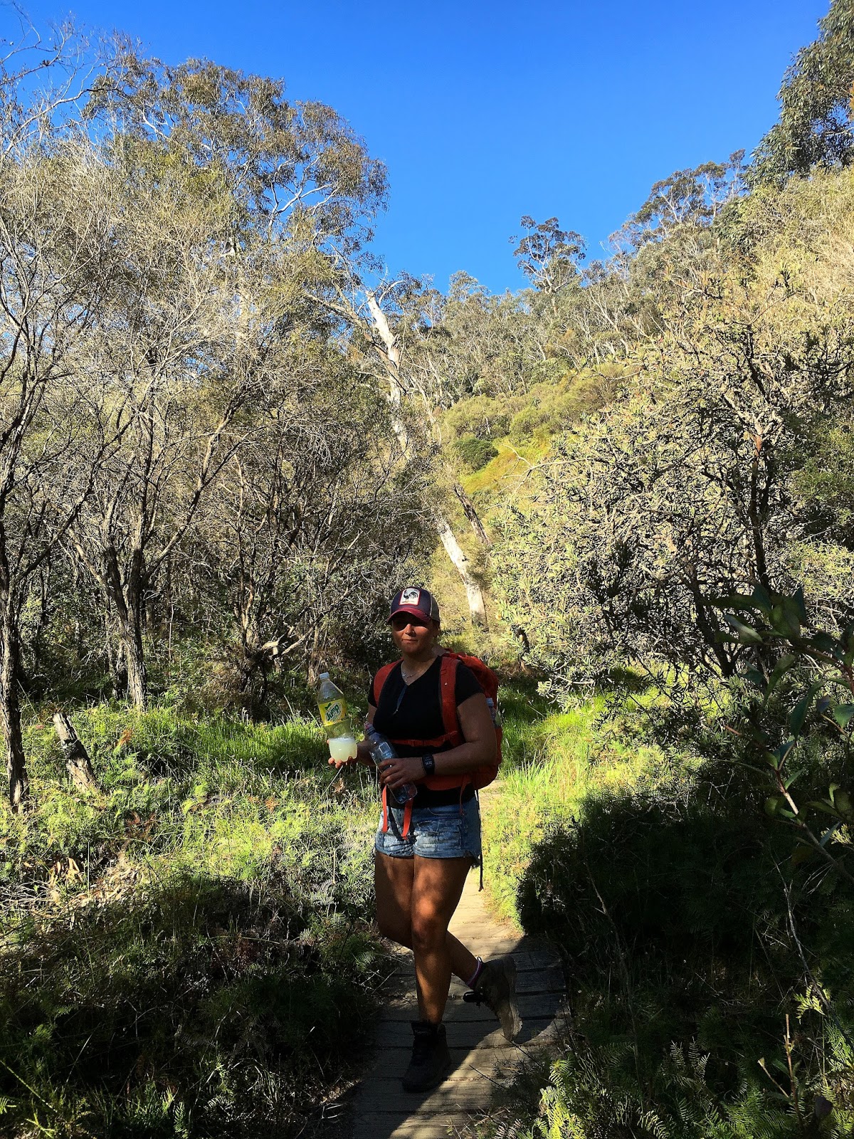The National Pass track in the World Heritage listed Blue Mountains has been one of the most beautiful hiking trails I have seen. With the highest outdoor staircase and breathtaking views it's not to be missed!