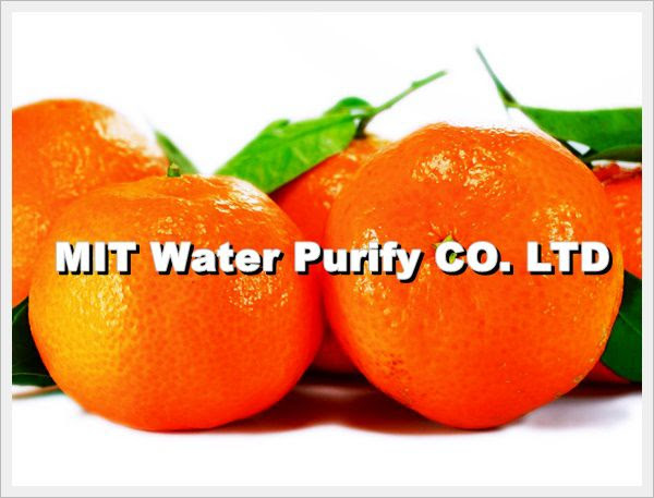Tangerines is the Best Traditional Chinese Lunar New Year lucky Fruit of The Chinese Lunar New Year(The Spring Festival) by MIT Water Purify Professional Team Company Limited