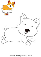 Cachorro cachorro