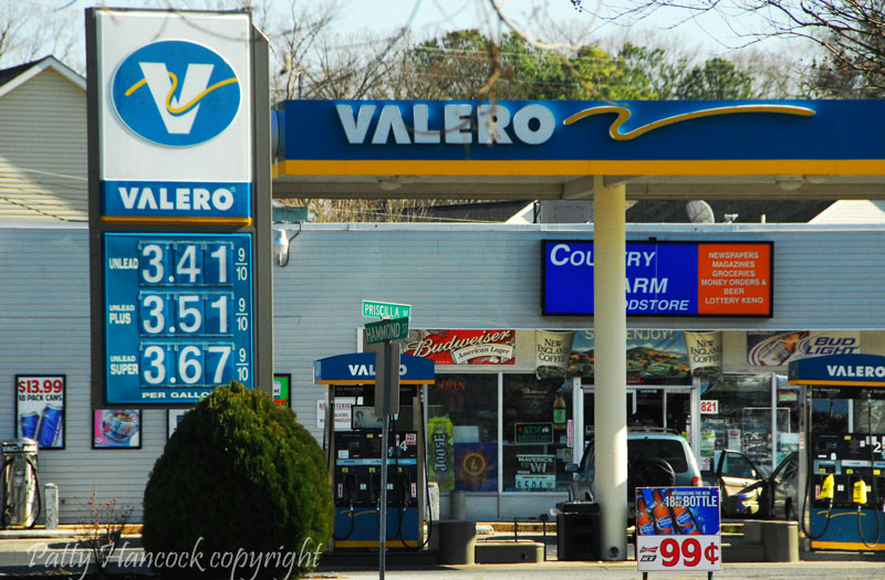 Artists February 2012