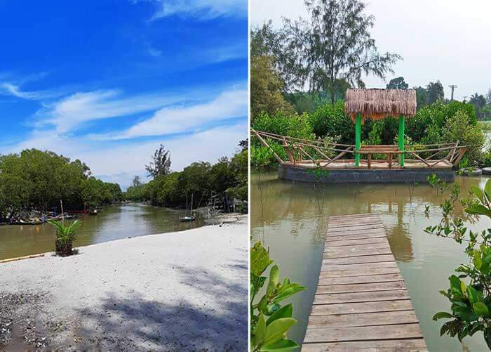 12 Potret Pantai Mangrove Terbaru, Tiket Masuk dan Daya