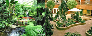 Indoor Landscapes: Interior Plants, Office Landscaping, image montage by wobuilt.com