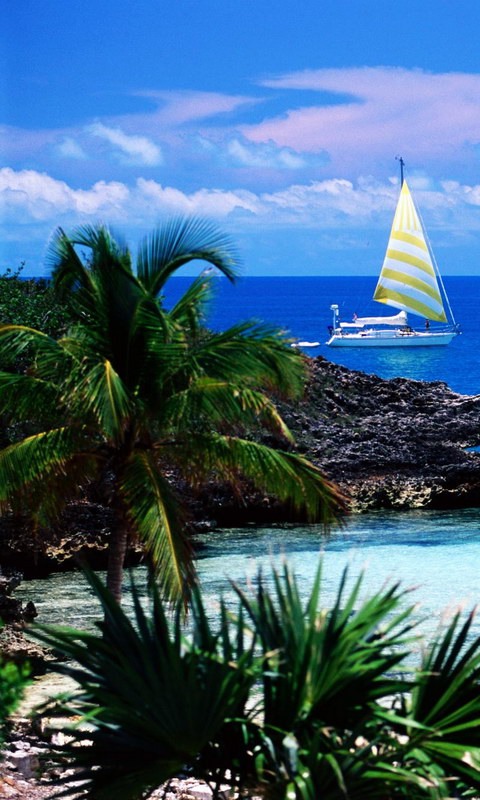 HD Wallpapers HD Wallpapers & High Definition HD Quality desktop