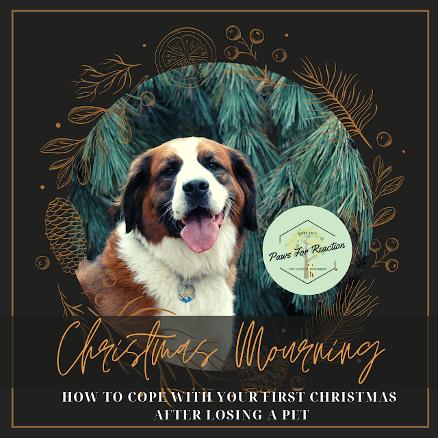 Christmas mourning: How to cope with your first holiday season after losing a pet