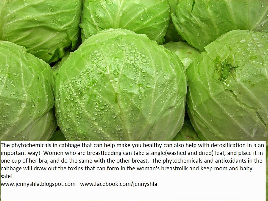 Healthy Life Advice Cabbage for Mama and Baby