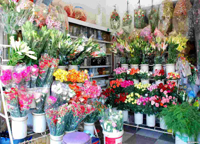 shop-hoa.jpg