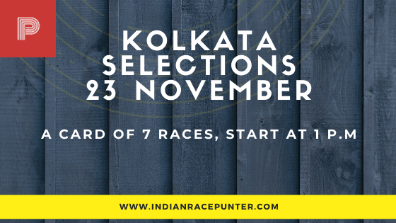 India Race Tips by indianracepunter, free indian horse racing tips, indiarace