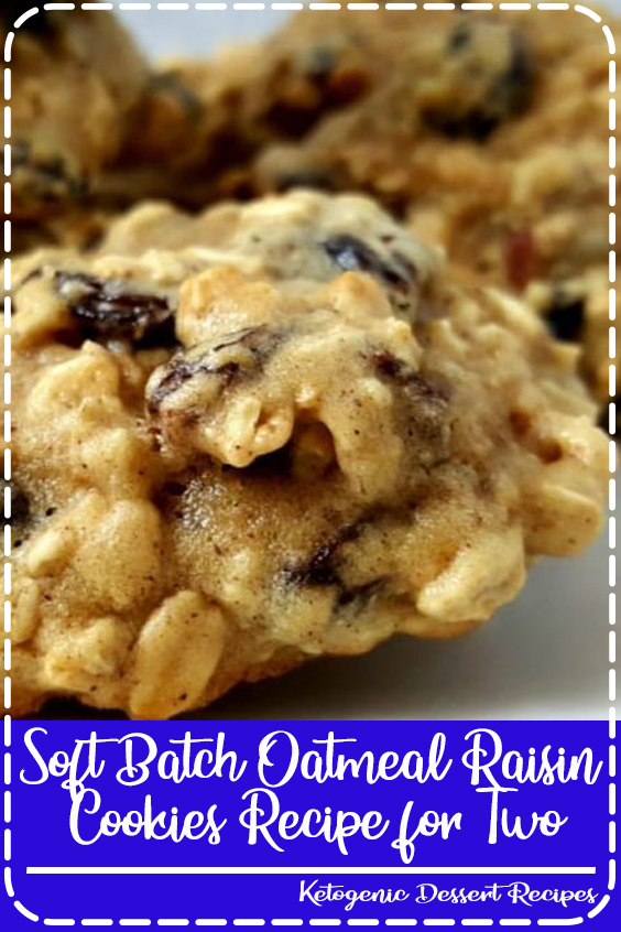 Soft Batch Oatmeal Raisin Cookies Recipe for Two Food Brenda