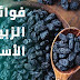 فوائد الزبيب الاسود.. حفنة من المعجزات فوائد الزبيب الاسود.. حفنة من المعجزات