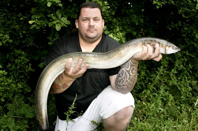 7+ Arti Mimpi Belut Raksasa