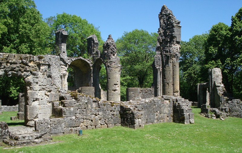MONTFAUCON - Le Monument Et Les Ruines De L'église – Livre Occasion
