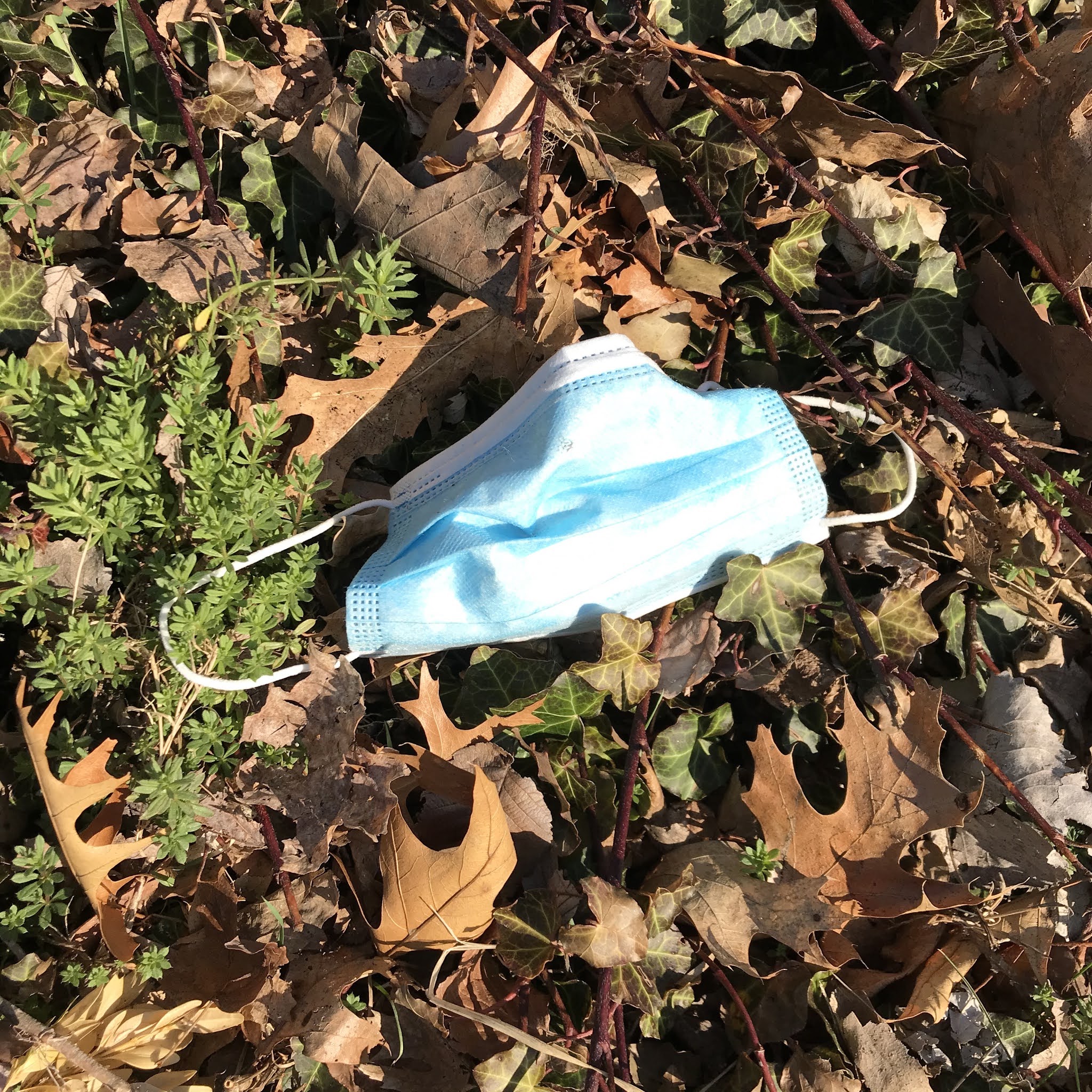 Maynard Life Outdoors and Hidden History of Maynard: Discarded Masks ...