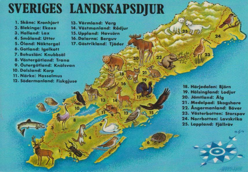 P o s t c r o s s i n g P l a n e t: Animal Map Card, Sweden P o s t c r o s s i n g P l a n e t: Animal Map Card, Sweden