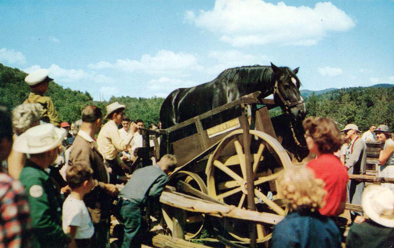 Frontier Town Postcard