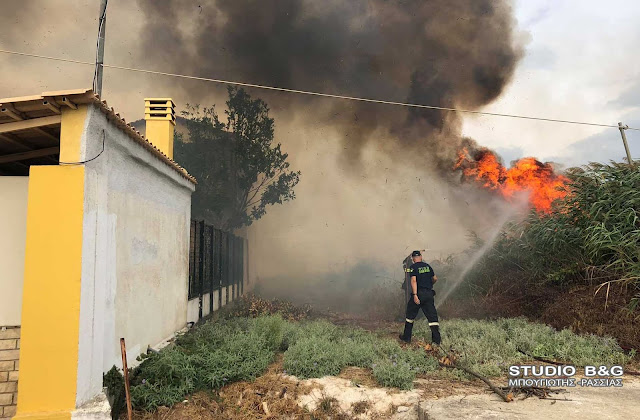 Αργολίδα: Πυρκαγιά στην περιοχή της Αγίας Άννας στο Τημένιο - Κινδύνεψαν σπίτια Αργολίδα: Πυρκαγιά στην περιοχή της Αγίας Άννας στο Τημένιο - Κινδύνεψαν σπίτια