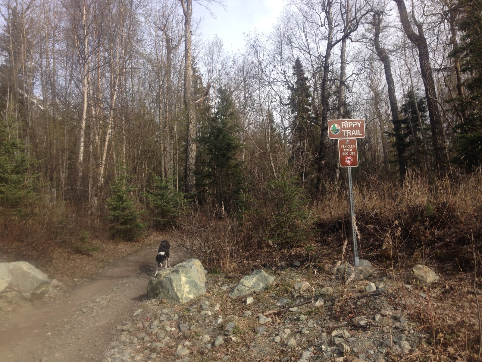 Hiking Trails At Alyeska Resort Hiking Trail Maps Hiking Trails Alaska Travel