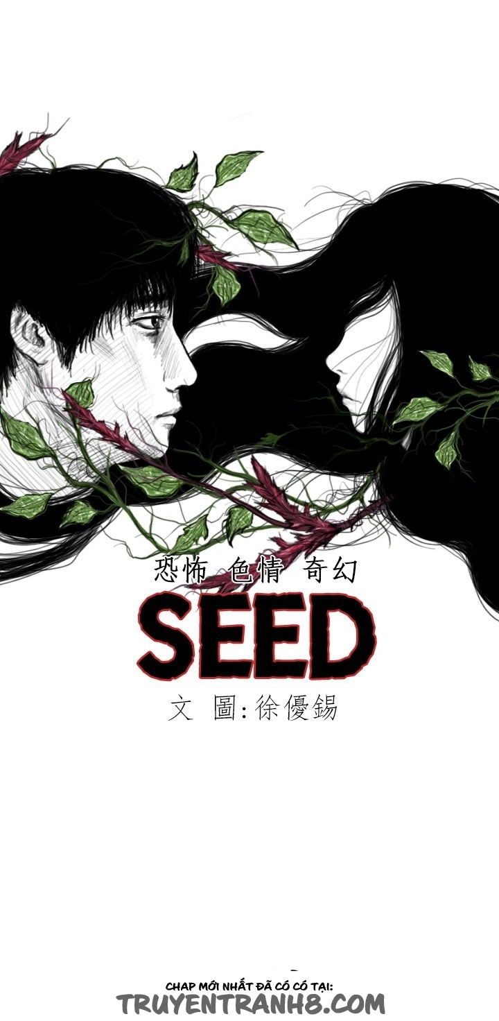 Hạt Giống Mỹ Nhân chap 24 - Trang 5