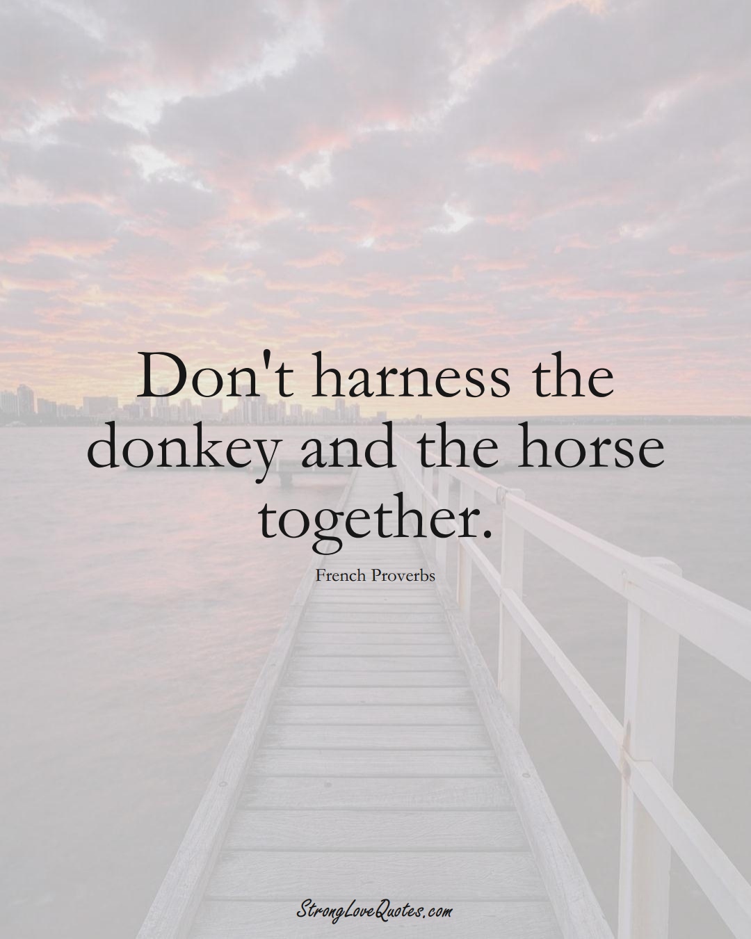 Don't harness the donkey and the horse together. (French Sayings);  #EuropeanSayings