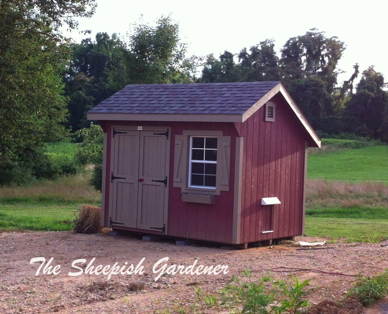 The Sheepish Gardener Feathered Friday Chicken Coop Pop Door