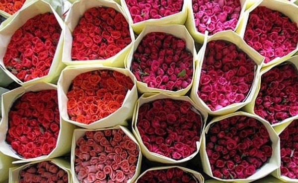 where to find wholesale roses cheap buy rose flowers in bulk