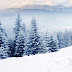 Beautiful Free Winter Desktop Wallpaper 